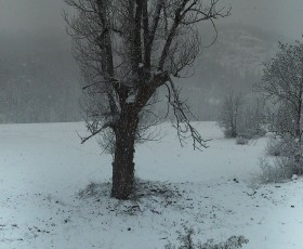 Neige : on remet ça ! Neige : on remet ça !