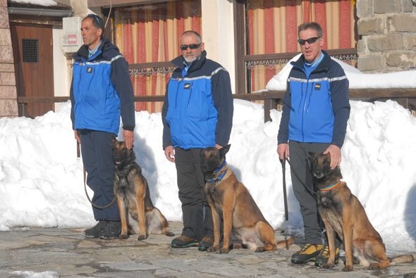 maitre chiens avalanches montgenèvre