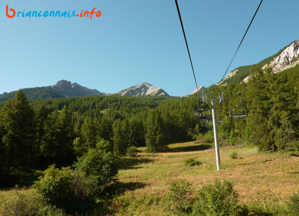 partie basse de la ligne avant l&rsquo;entrée dans la forêt