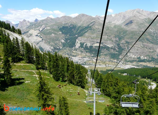 on survole les vaches en été ;-)